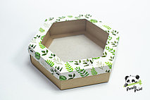 Коробка с прозрачным окном 200х200х60 шестигранная Зеленые листья (крафт дно)