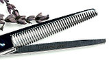Ножницы парикмахерские Suntachi №5.5 прямые 5 класс FK-540 5.5, фото 2