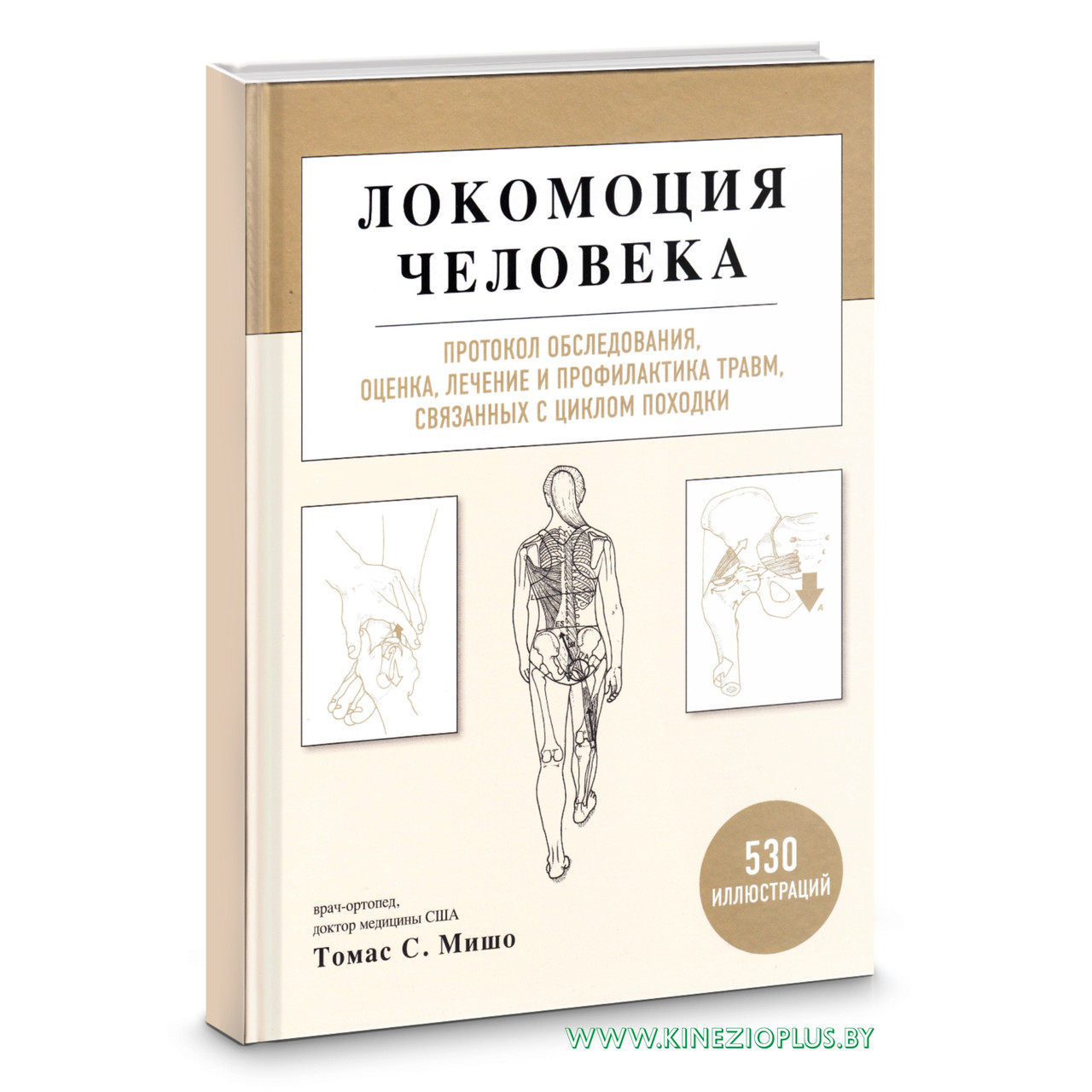 Локомоция человека. Протокол обследования, оценка, лечение и профилактика травм, связанных с циклом походки