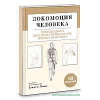 Локомоция человека. Протокол обследования, оценка, лечение и профилактика травм, связанных с циклом походки