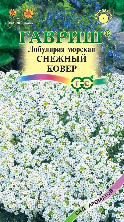 Лобулярия Снежный ковер морская Одн 15см (Гавриш) Сад ароматов