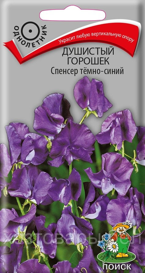 Душистый горошек Спенсер Темно-синий 1г Одн 250см (Поиск)