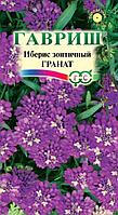 Иберис Гранат зонтичный 0,1г Одн 30см (Гавриш)