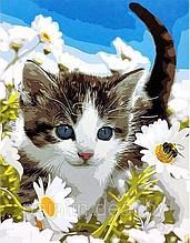 Рисование по номерам "Голубоглазый котенок" картина
