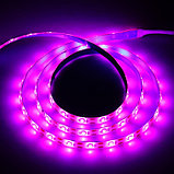 Фитолента светодиодная Luazon, 5 В, SMD5050, 1 м, IP65, 6.2 Вт, 60 LED/м, дим., USB, фото 2