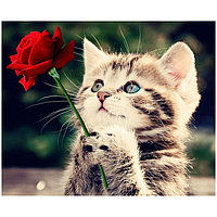 Алмазная мозаика (живопись) 40*50 см, котенок с розой