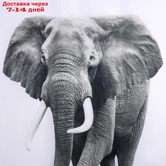 Штора для ванной комнаты Доляна "Слон", 180×180 см, полиэстер - фото 3 - id-p195695080