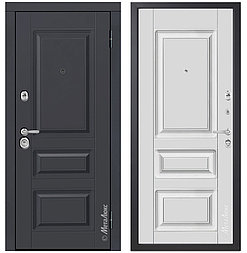 Двери металлические металюкс М709/35 Е5