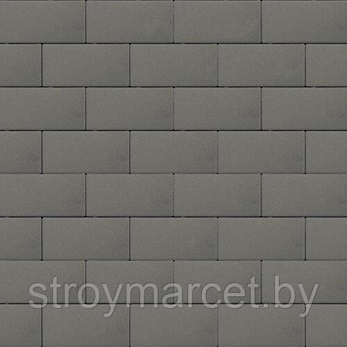 Тротуарная плитка Прямоугольник Лайн, 60 мм, серый, гладкая - фото 7 - id-p196063618