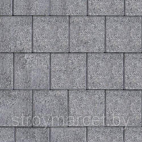 Тротуарная плитка Квадрат большой, 60 мм, серый, бассировка - фото 2 - id-p196063723