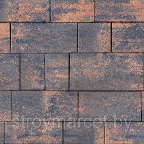 Тротуарная плитка Инсбрук Тироль, 60 мм, ColorMix Айвори, гладкая - фото 2 - id-p196064195