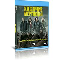 Ходячие мертвецы 11 Сезон (24 серии) (2022) (2 BLU-RAY Видео сериал)