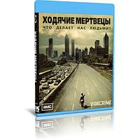 Ходячие мертвецы 1 Сезон (6 серий) (2010) (BLU-RAY Видео сериал)