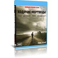 Ходячие мертвецы 2 Сезон (13 серий) (2012) (2 BLU-RAY Видео сериал)