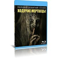 Ходячие мертвецы 9 Сезон (16 серий) (2019) (2 BLU-RAY Видео сериал)