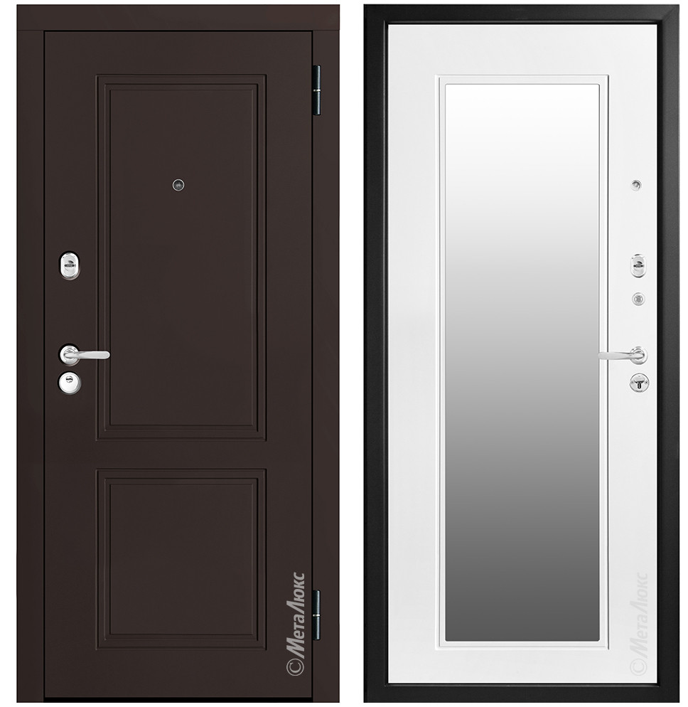 Двери металлические металюкс М448/1 Z Е5 - фото 1 - id-p196180474