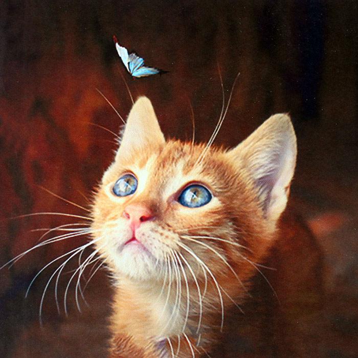 Алмазная живопись 30*30 см, котёнок с бабочкой, фото 1