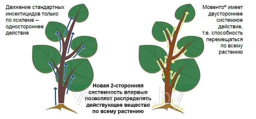 Инсектицид Мовенто (80 мл) - фото 10 - id-p181832003