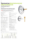 Термометр биметаллический БТ-51.211(0-350С) G1/2, фото 3