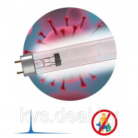 Бактерицидная ультрафиолетовая лампа ЭРА UV-С ДБ 15 Т8 G13 15 Вт Т8 - фото 2 - id-p196258883
