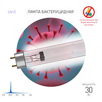 Бактерицидная ультрафиолетовая лампа ЭРА UV-С ДБ 30 Т8 G13 30 Вт Т8