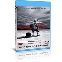 Мир Дикого запада 2 сезон (10 серий) (2018) (2 BLU RAY Видео-сериал)