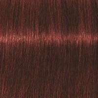 Schwarzkopf Крем-краска для седых волос Absolutes Igora Royal, 60 мл, 5-80 - фото 1 - id-p167845486