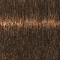 Schwarzkopf Крем-краска для седых волос Absolutes Igora Royal, 60 мл, 6-50 - фото 1 - id-p167845487