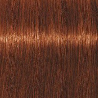 Schwarzkopf Крем-краска для седых волос Absolutes Igora Royal, 60 мл, 6-70 - фото 1 - id-p167845489