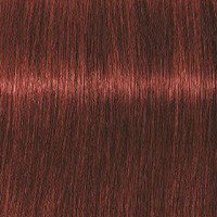 Schwarzkopf Крем-краска для седых волос Absolutes Igora Royal, 60 мл, 6-80