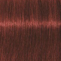 Schwarzkopf Крем-краска для седых волос Absolutes Igora Royal, 60 мл, 6-80 - фото 1 - id-p167845490