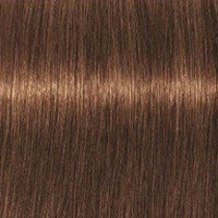 Schwarzkopf Крем-краска для седых волос Absolutes Igora Royal, 60 мл, 6-460