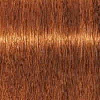 Schwarzkopf Крем-краска для седых волос Absolutes Igora Royal, 60 мл, 7-70 - фото 1 - id-p167845495