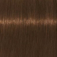 Schwarzkopf Крем-краска для седых волос Absolutes Igora Royal, 60 мл, 7-460