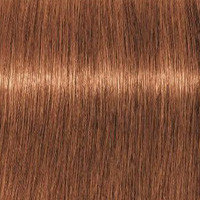 Schwarzkopf Крем-краска для седых волос Absolutes Igora Royal, 60 мл, 7-710