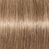 Schwarzkopf Крем-краска для седых волос Absolutes Igora Royal, 60 мл, 8-01