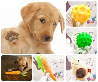 Набор игрушек для собак Счастливый пёс Fancy Pets, 4 в 1. SET1 - фото 1 - id-p166959272
