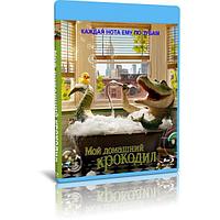 Мой домашний крокодил (2022) (BLU-RAY Видеофильм)