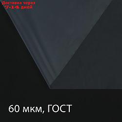 Плёнка полиэтиленовая, толщина 60 мкм, 3 × 10 м, рукав (1,5 м × 2), прозрачная, 1 сорт, ГОСТ 10354-82