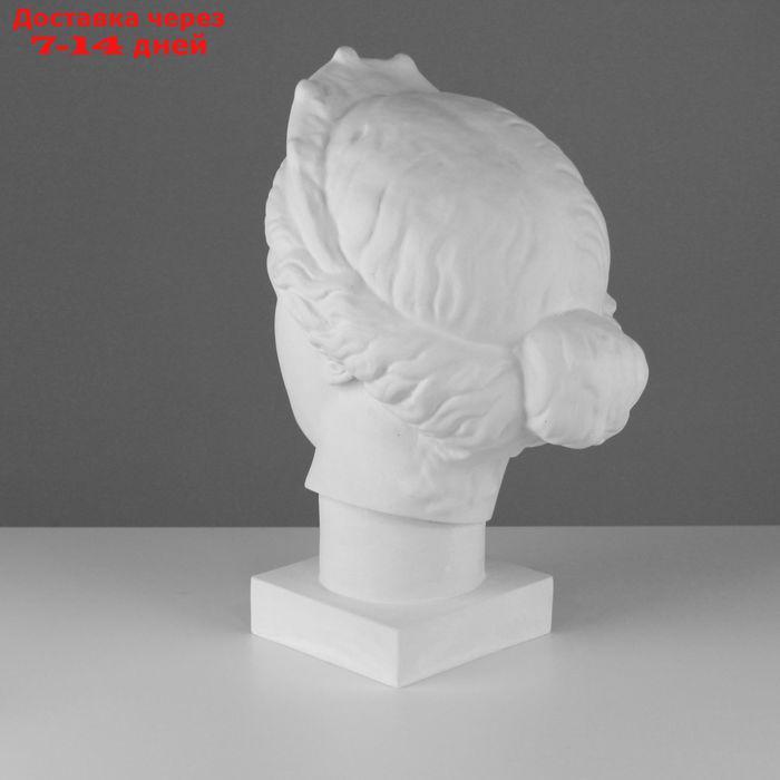 Гипсовая фигура, голова Венера Капуа (с кокошником) "Мастерская Экорше", 20,5 х 29 х 40 см - фото 3 - id-p196372461