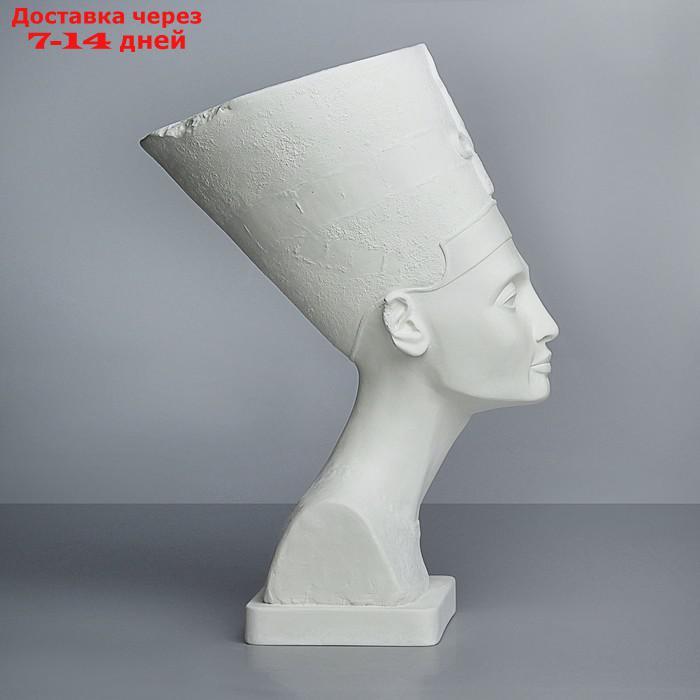 Гипсовая фигура, бюст Нефертити в шапке "Мастерская Экорше", 24 х 37 х 51 см - фото 3 - id-p196372470