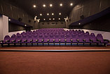 Кресло для кинотеатра «ROMA PV»,, фото 4