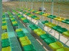 Сидение пластиковое для стадионов,трибун ,открытых площадок  Ультра, фото 6