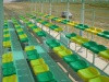 Сидение пластиковое для стадионов,трибун ,открытых площадок Ультра - фото 6 - id-p196493239