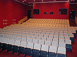 Кресло для кинотеатров и конференцзалов Аргентина, фото 10