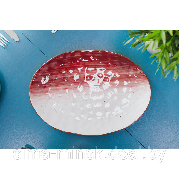 Блюдо фарфоровое Доляна «Космос», 31,5×22 см, цвет красный - фото 5 - id-p196496574