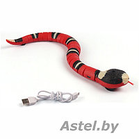 Игрушка змея AS-8808A-B