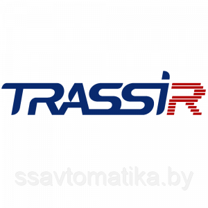 DSSL TRASSIR Theft Prevention