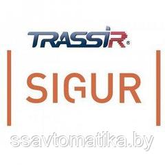 DSSL TRASSIR Face Sigur (pack 1)