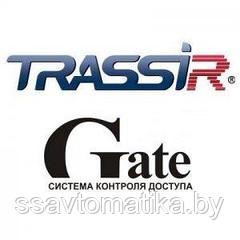 DSSL TRASSIR GATE